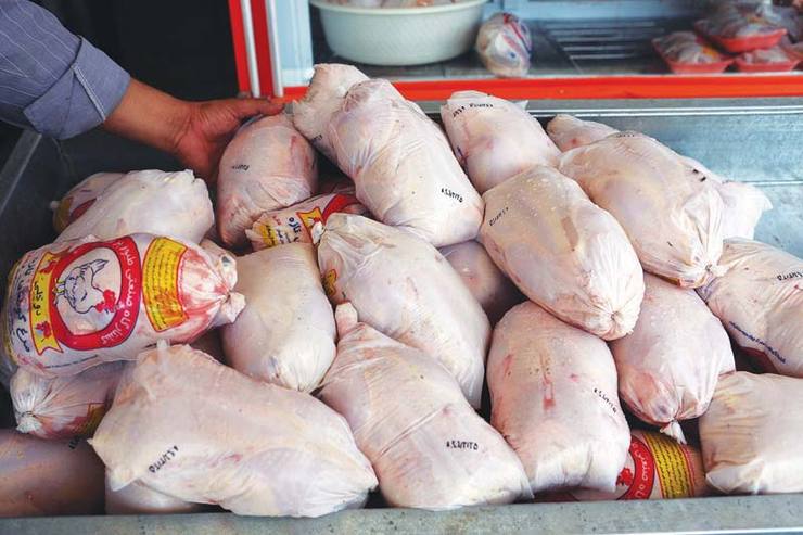 تداوم کاهش قیمت مرغ/قیمت مرغ در بازار به ۱۱ هزار و ۷۰۰ تومان رسید