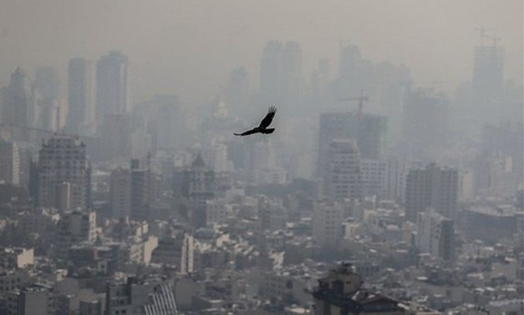 ۲۵۳ مشهدی به خاطر آلودگی هوا راهی مراکز درمانی شدند