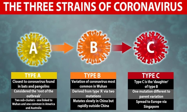 کشف ۳ نوع کروناویروس توسط محققان کمبریج
