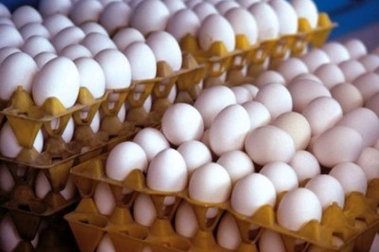 ۱۶۰ پرونده برای گران‌فروشی تخم مرغ در مشهد تشکیل شد