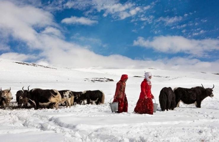 زندگی سخت قرقیزهای افغانستان در کوه‌های پامیر بدخشان + عکس