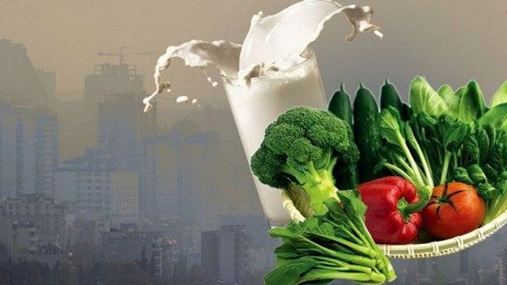 سالم‌ترین غذاها برای خنثی کردن اثرات آلودگی هوا