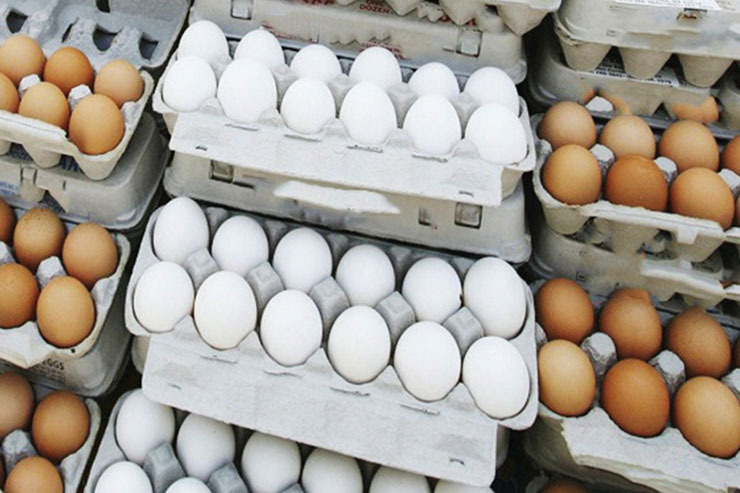 افزایش دوبرابری قیمت تخم‌مرغ چه دلیلی دارد؟