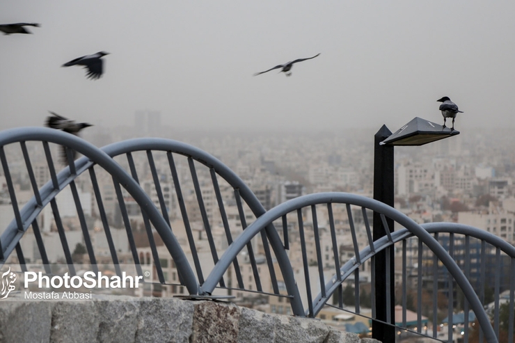  مشهد در دی ماه بیشترین آلودگی هوا را تجربه کرد
