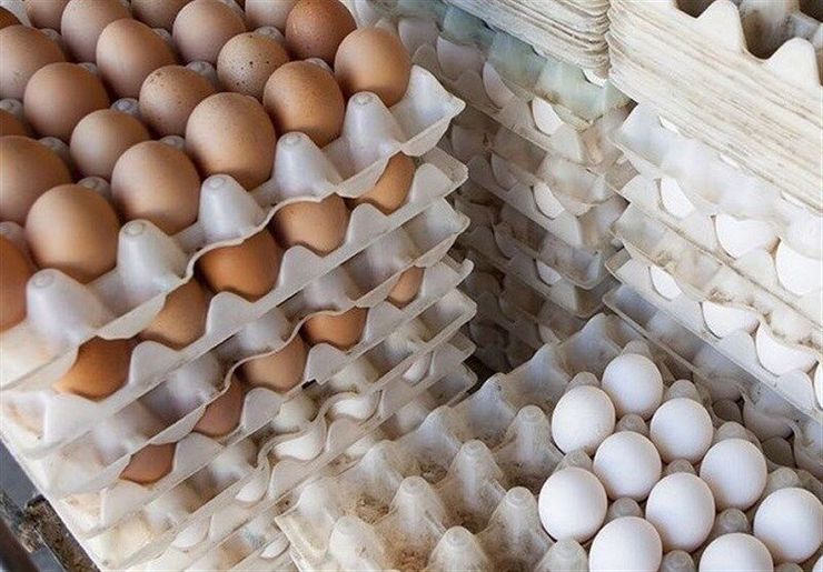 قیمت تخم مرغ در بسته‌های مختلف اعلام شد