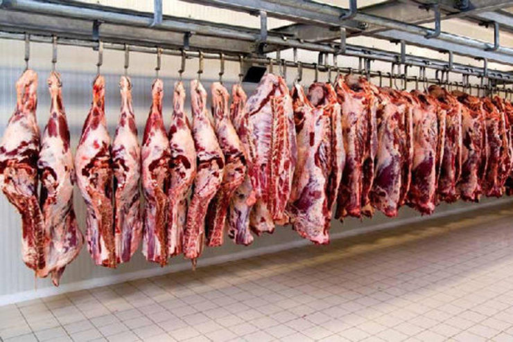 چرا مصرف گوشت قرمز در کشور نصف شد؟