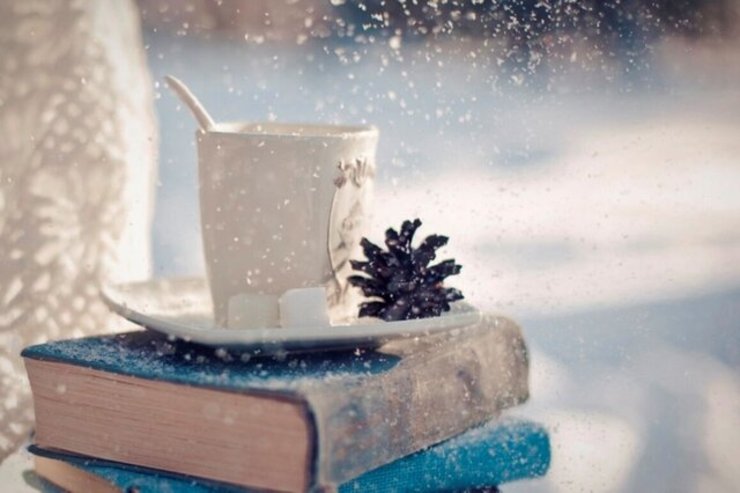 شروع پرشتاب طرح زمستانه کتاب در خراسان رضوی | فروش ۱۰ هزار جلد کتاب در یک روز
