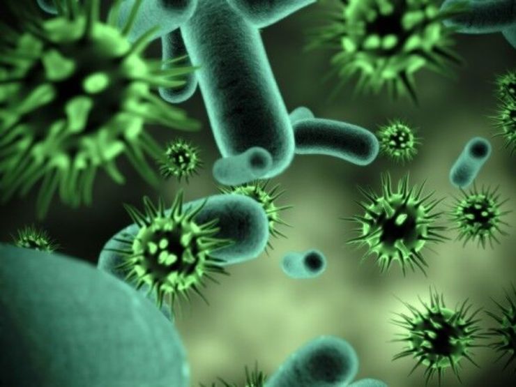 انسان‌ها بیش از ۱۰۰ تریلیون میکروب و باکتری در روده خود دارند/۳ میلیون ژن مربوط به میکروب‌ها در بدن انسان فعالیت می‌کند