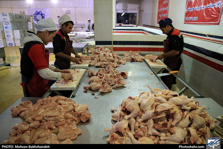 فروش مرغ بیشتر از ۱۵ هزار ۵۰۰ تومان در بازار تخلف است | گزارش ۳۳۹ تخلف در بازار مرغ و تخم‌مرغ مشهد