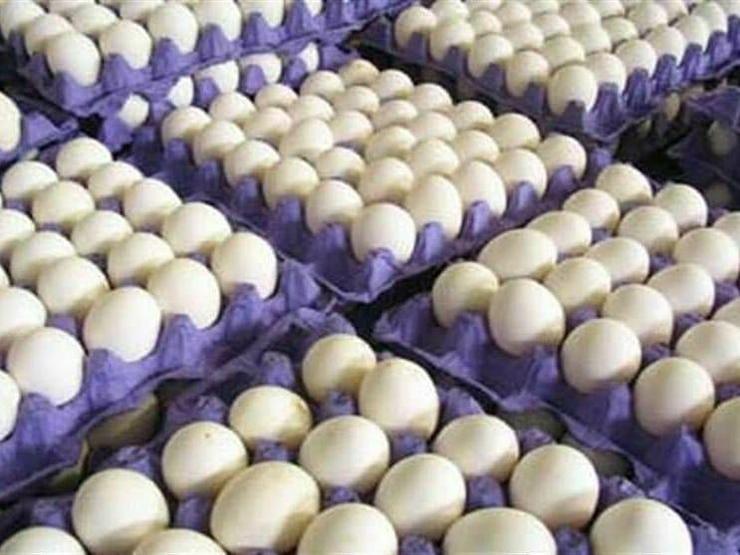 توزیع بیش از ۲ تن تخم‌مرغ تنظیم بازار در فروشگاه‌های شهرما مشهد