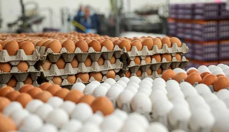 صادرات تخم مرغ از ۱۴ تیر ممنوع شده است+سند