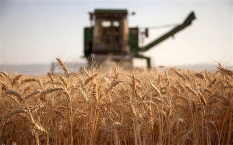 خرید تضمینی گندم کشاورزان، ۲۵۰۰ تومان تعیین شد