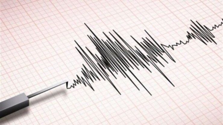 زلزله ۷/۳ ریشتری در سواحل گینه‌نو