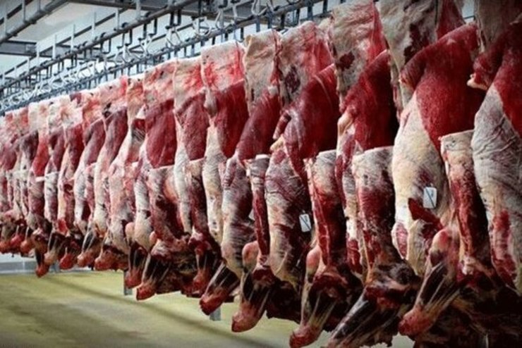 قیمت واقعی گوشت گوسفندی ۸۵ هزار تومان، گوشت گوساله ۷۰ هزار تومان