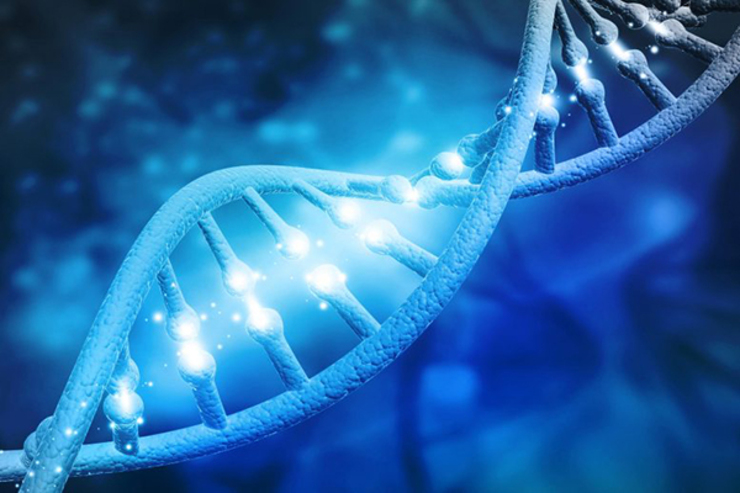 ژن‌ها چه نقشی در تأثیرگذاری دارو‌های کرونا بازی می‌کنند
