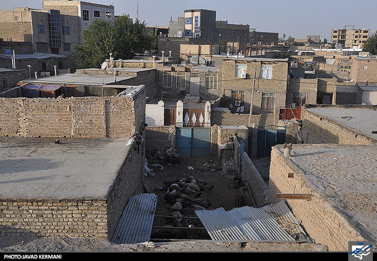 تملک ۱۷ ملک در کال اسماعیل آباد مشهد| قلع وقمع ۲۵۰۰ قطعه ساخت و ساز به مساحت ۱۱۴۶ هکتار در سال گذشته