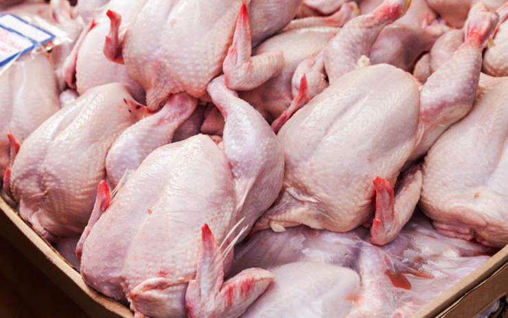 شیب صعودی افزایش قیمت مرغ