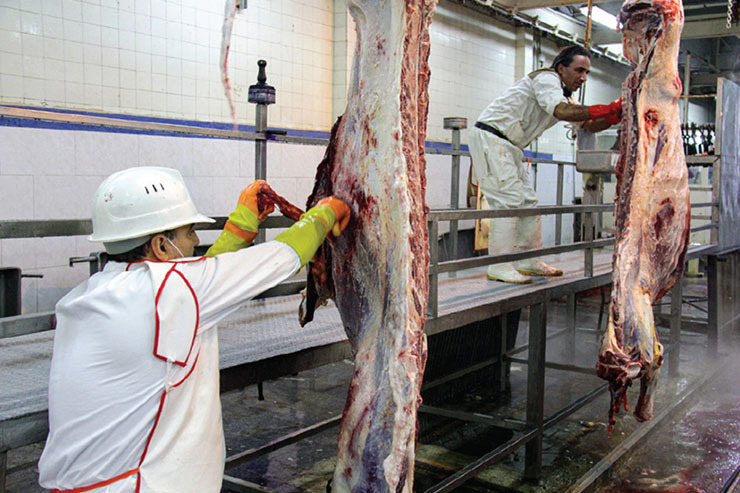 پیش‌بینی افزایش قیمت گوشت در زمستان در پی افزایش کشتار دام