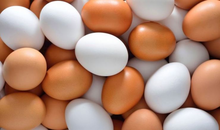 صادرات تخم مرغ بشرط مجوز از وزارت کشاورزی