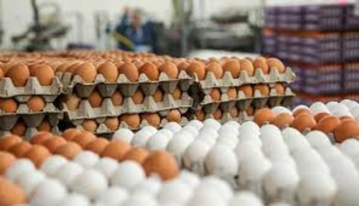 ستاد تنظیم بازار قیمت تخم مرغ بسته‌بندی را اعلام کرد