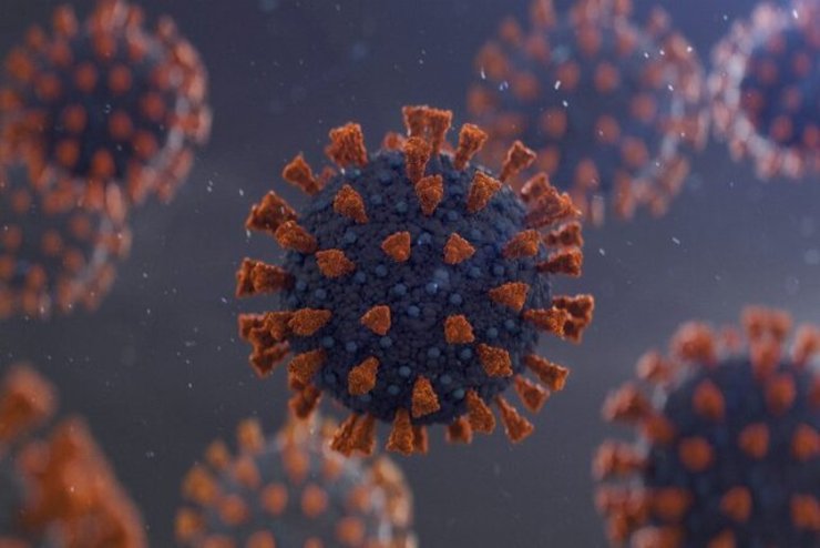 پژوهشگران آمریکایی: ویروس کرونا جهش یافته و مسری‌تر شده است