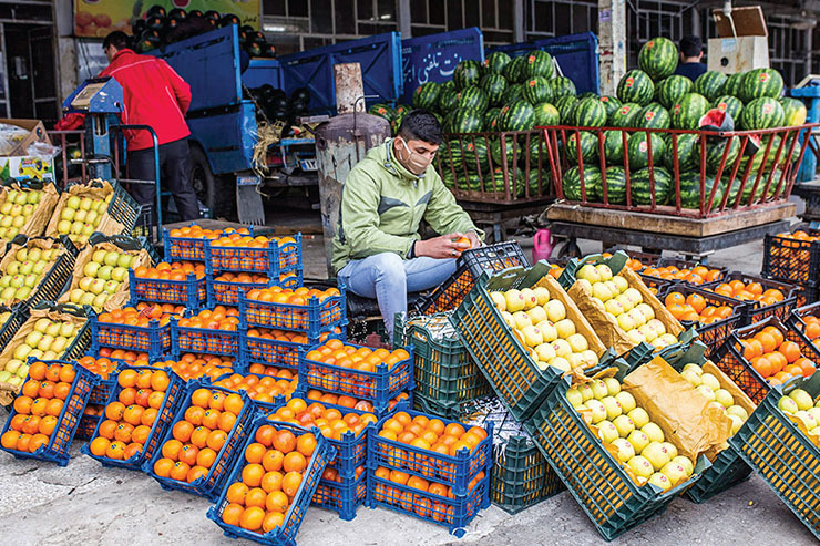 صادرات به کشورهای همسایه علت گرانی میوه است | سبد خالی نظارت در بازار میوه