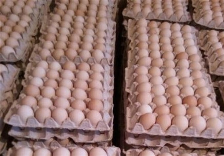 مقابله با گران‌فروشی تخم‌مرغ در خراسان رضوی | نظارت‌ها تشدید می‌شود