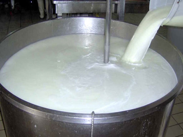 قیمت مصوب شیر هر کیلو ۴۵۰۰ تومان به‌صرفه نیست