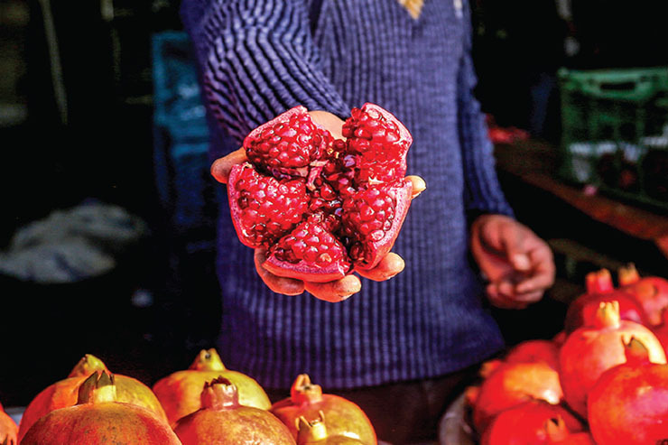 افزایش ۱۰۰ درصدی قیمت میوه‌ در بازار نسبت‌به سال گذشته