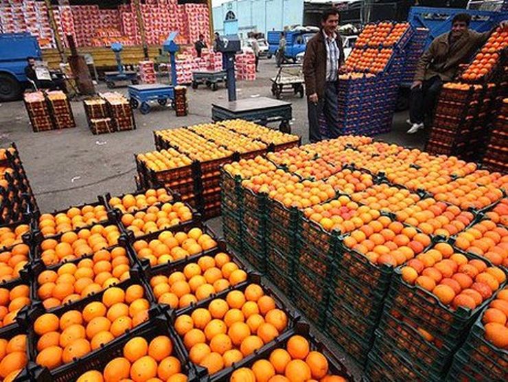 چرا پرتقال گران شد؟ + فیلم