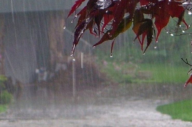 رگبار باران و وزش باد شدید در شرق کشور