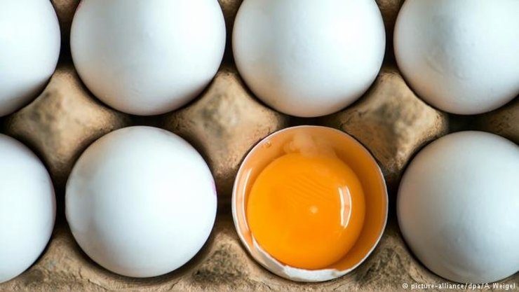 مردم نگران تأمین تخم‌مرغ برای شب عید نباشند
