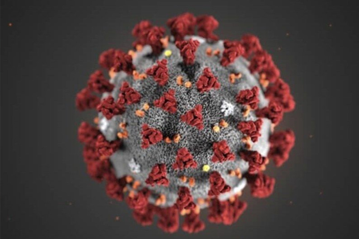 شناسایی ویروس جهش یافته جدید کرونا در اسرائیل + جزئیات