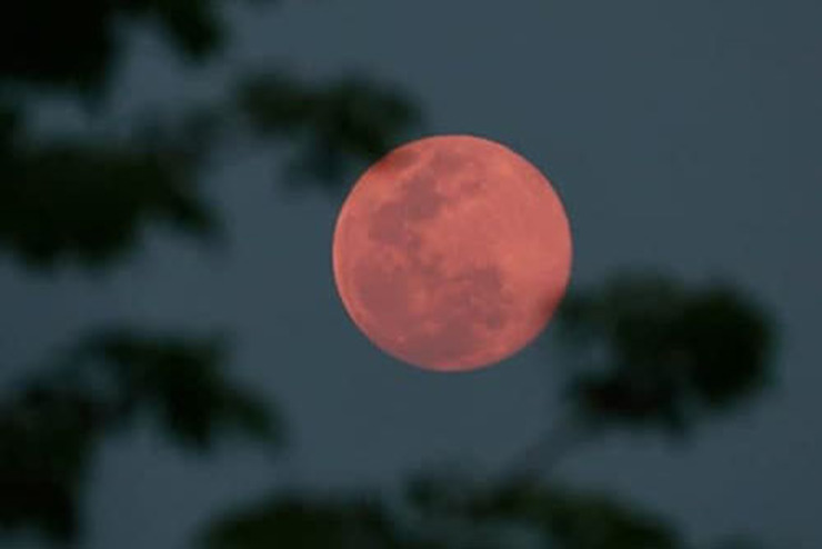 «ماه صورتی» در آسمان دوشنبه شب + جزئیات