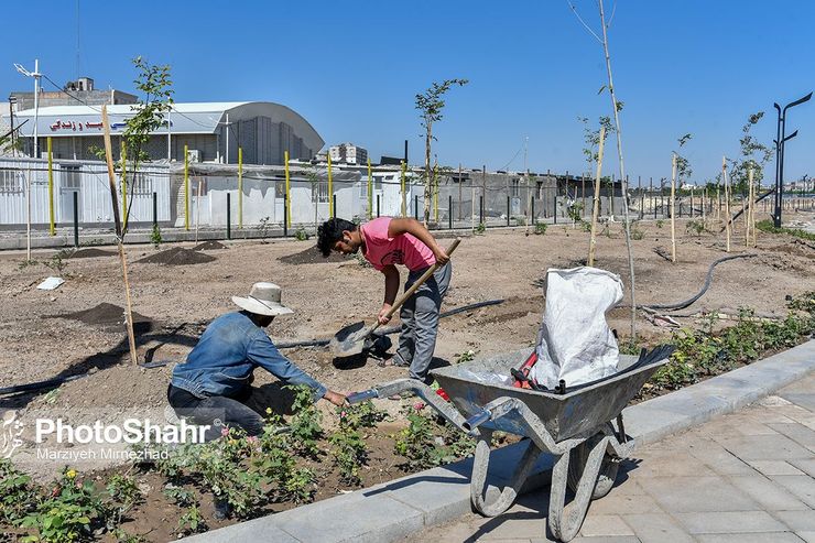 مشهد بر مدار عمران - پروژه کشت پارک