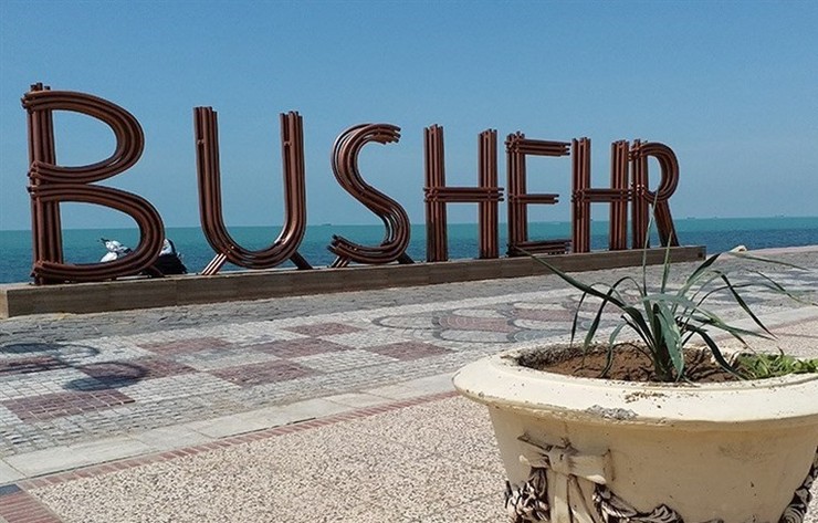 ماجرای فیلم پرش نهنگ در ساحل بوشهر چه بود؟ + ویدئو