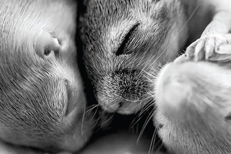 موش‌ها پیش از تولد رؤیاپردازی می‌کنند