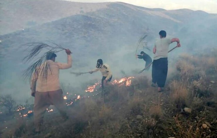 آتش‌سوزی گسترده در ارتفاعات تنگ هایقر استان فارس + عکس و فیلم