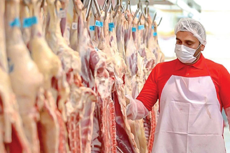 در بازار گران و ورشکسته تولید گوشت، چه کسانی سود می کنند؟