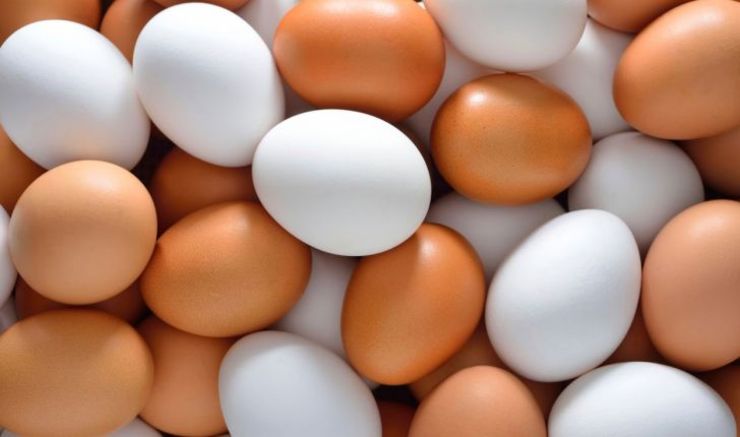 افزایش قیمت تخم‌مرغ در بازار ادامه دارد