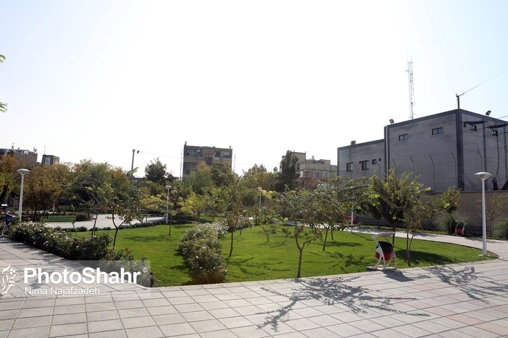 طرح ضربتی مدیریت شهری برای افزایش فضای سبز در حاشیه شهر مشهد