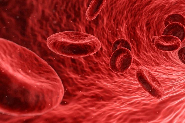 لخته شدن خون چه خطراتی دارد؟ + انواع لخته خونی