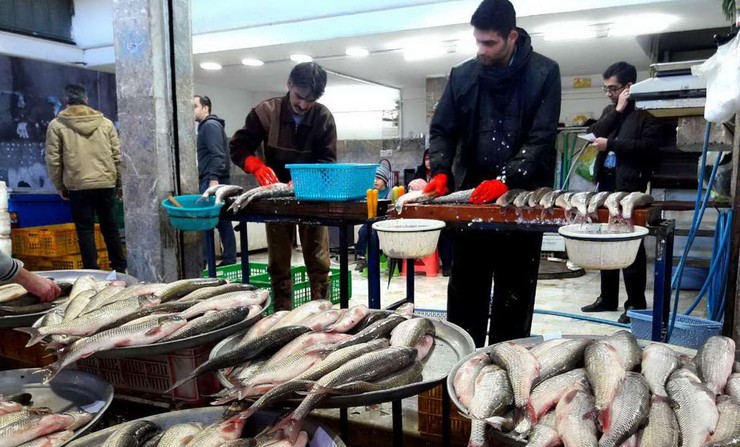 دلایل افزایش قیمت ماهی در بازار چیست؟