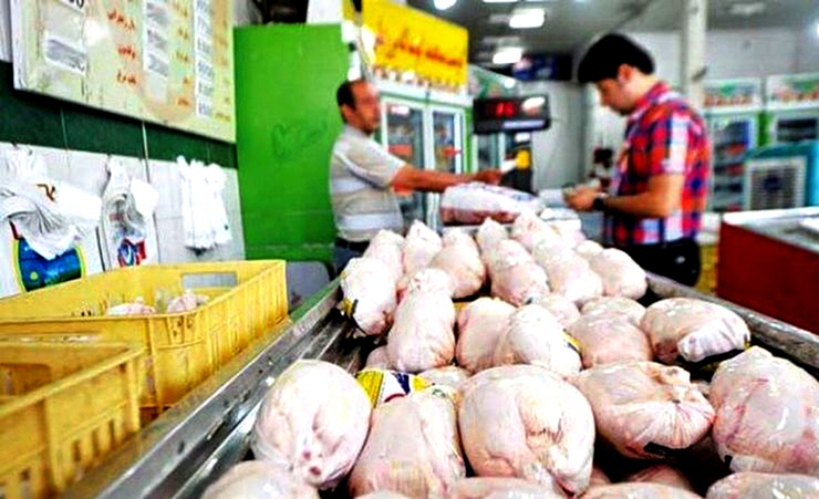 اصلاح قیمت مرغ در‌راستای پایداری تولید گوشت مرغ است