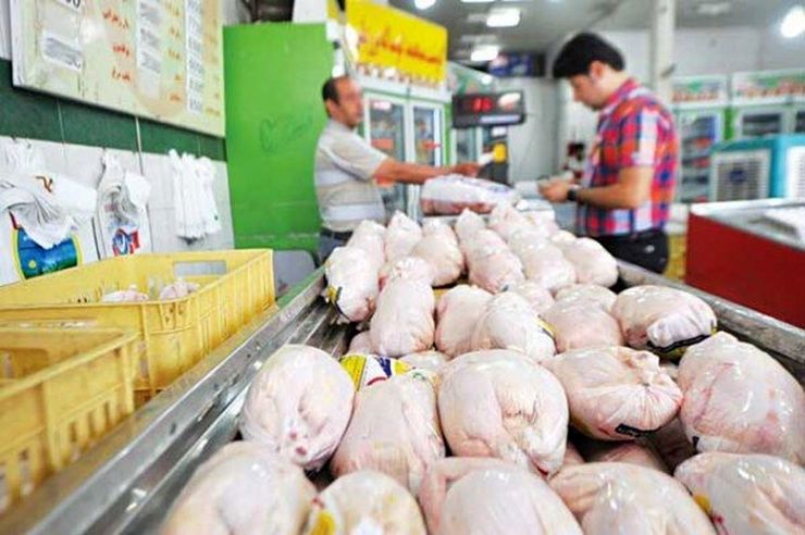 قیمت مرغ در تهران امروز ۹ مهر ۱۴۰۰