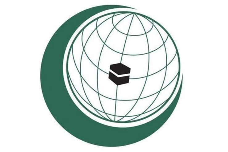 به پیشنهاد عربستان؛ سازمان همکاری اسلامی درباره افغانستان نشست برگزار می‌کند