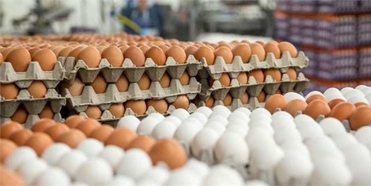 عرضه تخم‌مرغ تنظیم بازار در بازار‌های شهرداری مشهد آغاز شد