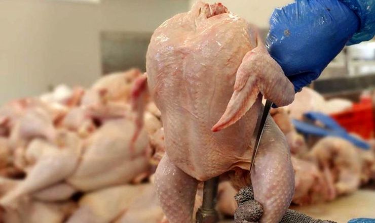 مرغ کیلویی ۸۰ هزار تومان خواهد شد؟