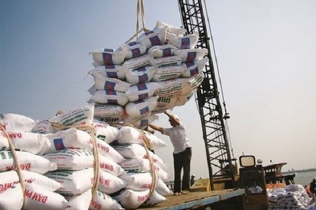 واردات انواع برنج ممنوع شد