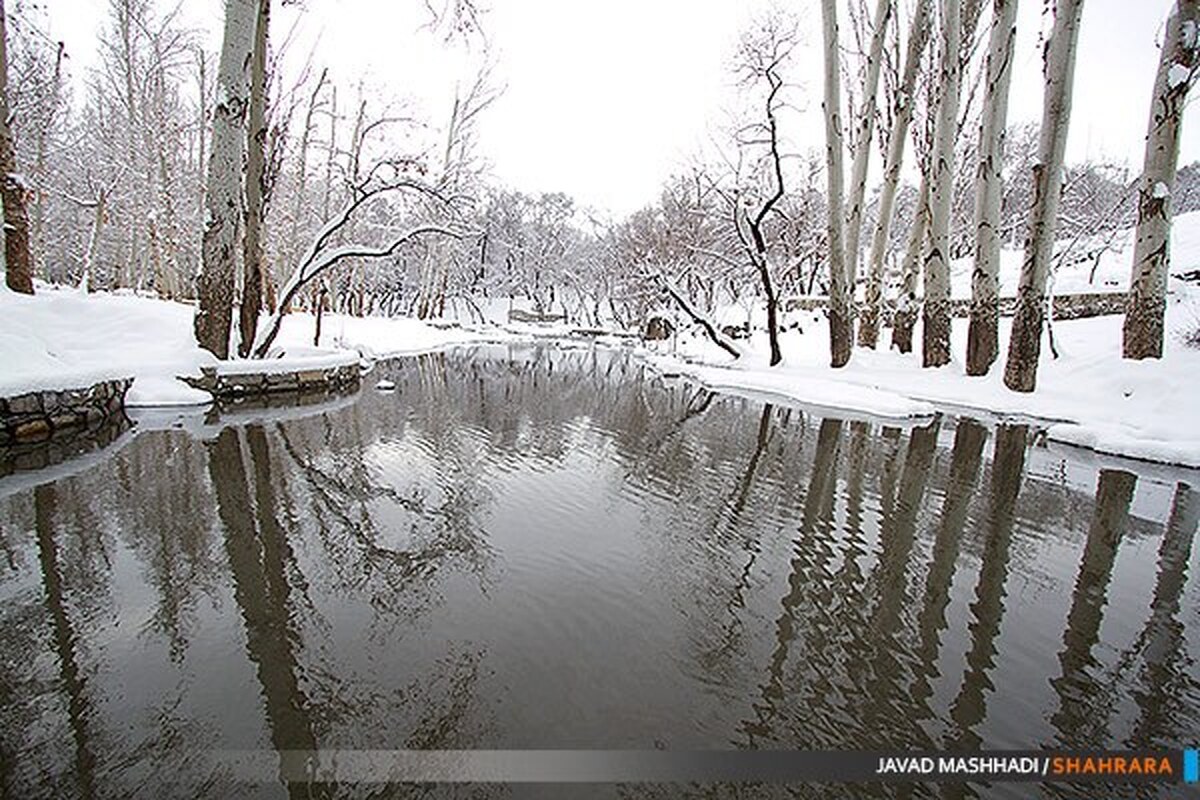 ویدئو | بازگشت جریان زندگی با آب شدن برف در پارک وکیل‌آباد